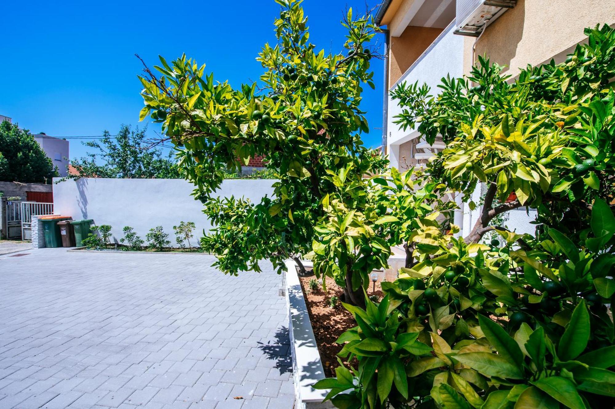 Apartment Vacay Zadar With Terrace And Parking Exteriör bild